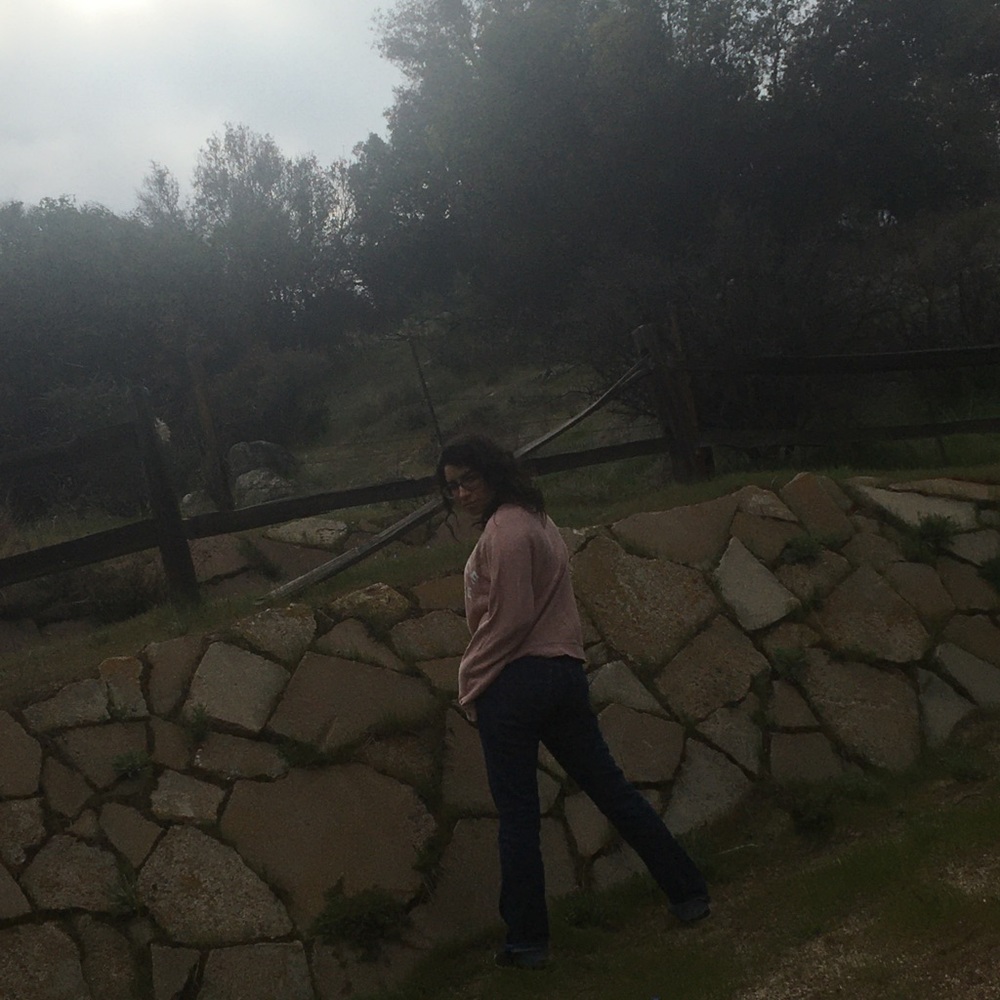 “Be Nice Please” Pullover - image 5